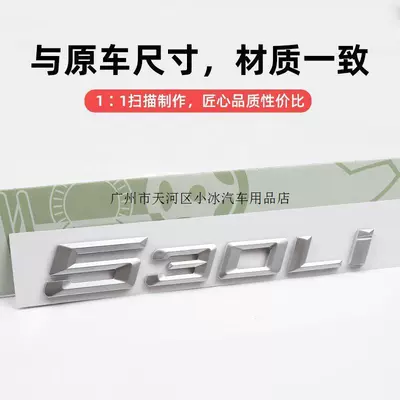 New 5 Series 525Li car: Car logo