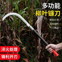 �¿����~�L��砵��i䓸���ؿ��r���ո����׽ն����⿳֦����砵�