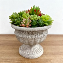 �羳�l���r��͹Ŵ��軨�@ͥԺ����Nֲ����ʽ�߻�ɫ���ڲ廨��