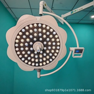 Total Reflection Ceiling Type Surgery Production Led Surgical Shadowless Lamp Auxiliary Lighting Lamp Double Head