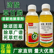 ����g����ݸ�좠������݄������Գ��݄��rș�S�����l