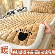 �ﶬ��ţ�̽q���|�������Ҷ����Ӻ�ë̺���w���ӌW�����ᴲ�δ�̺