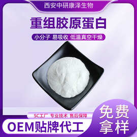 重组胶原蛋白三型胶原蛋白原料化妆品级源头厂家现货供应免费拿样