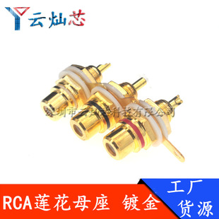 僽�ɏ��ĸ��AVɏ�����^rcaɏ��ĸ�������l��푹��Ų�����/�tɫ