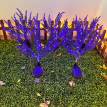 LED̫���޹�²ݵز��������滨ͥԺ��ƺ��@���b��^�Շ���