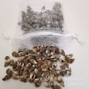 1����ȻСؐ������������1-2cm��̨�~���b�diy΢���^Ư��ƿ���
