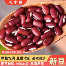 ��С����؛����L��С�t��ɳ����s�Z����򶹝{�Ҝ�޲�׼t���蜫