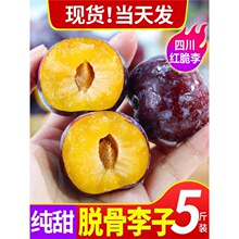 四川阿坝汶川脆红李子凤凰五月脆新鲜水果脱骨青脆李子半边红