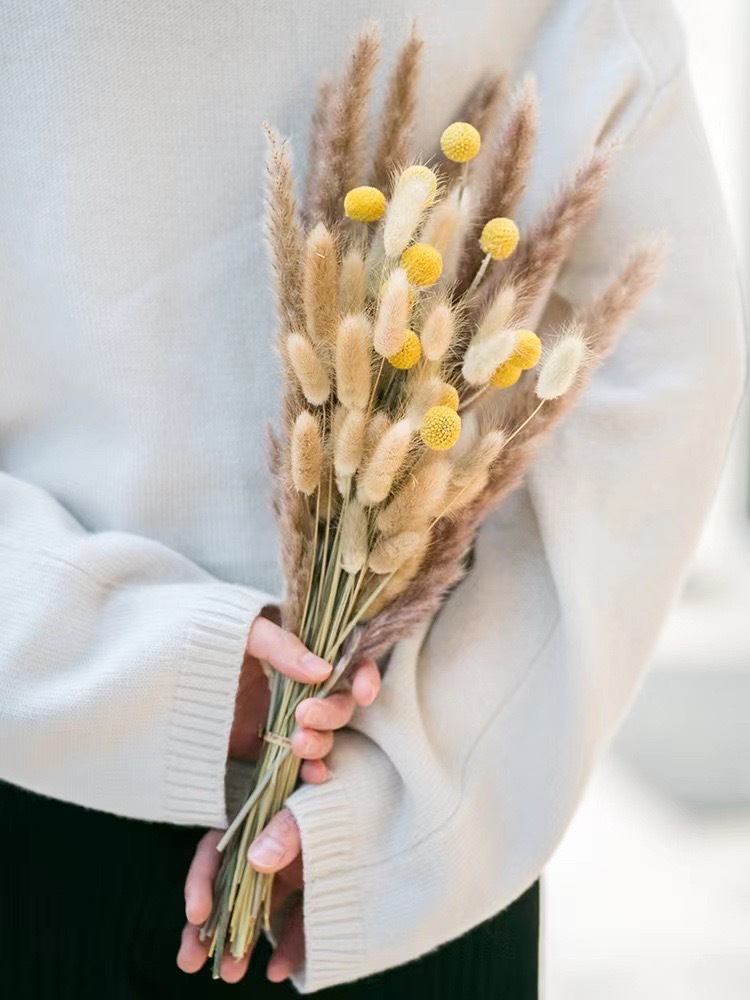 8beef52b39d6e8fa86bf0770e4adc6