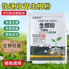 生根粉快速生根粉植物共通生根剤壮菜苗発根剤移植挿し木壮根素