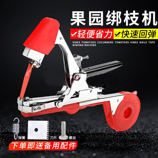 �¿�������C��֦�C�����t�����٘��S�����ѽ��������z���������