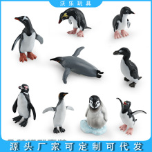 跨境仿真野生极地动物企鹅模型帝企鹅竖冠企鹅洪堡企鹅大海雀摆件