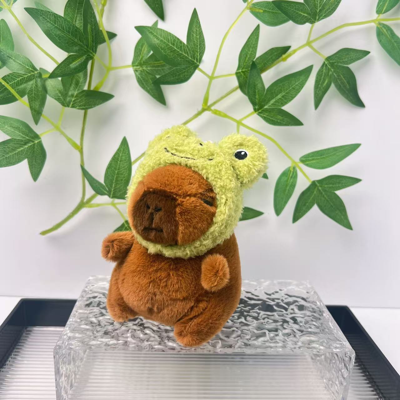 11cm 개구리 머리