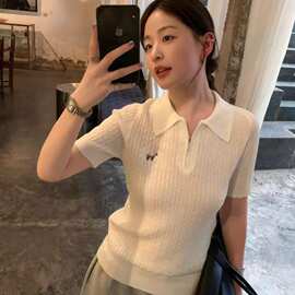 韩系麻花灰色polo针织衫短袖t恤女2026新款春季翻领刺绣上衣短款