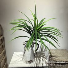 ����Gֲ��Ѫ���������F�������m�٘�ɳĮ�����ؙ���ܛ�b�zӰ����