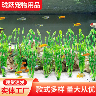 ~׷ˮb쾰Ϻ101Gֲ[쾰