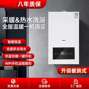 Practical Gas Wall-Mounted Boiler Natural Gas Household Condensing Heating Stove Floor Heating Heating Water Dual-Purpose Energy Saving