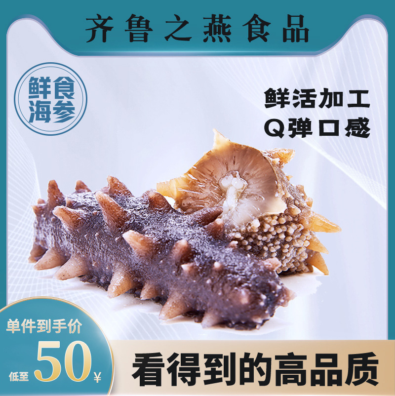 即食海參大連冷凍遼參500g非幹貨真空包裝密封袋新鮮水産批發野生