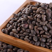 2斤新鲜松子生的散装新货云南落水手剥湿松子原味大颗粒坚果