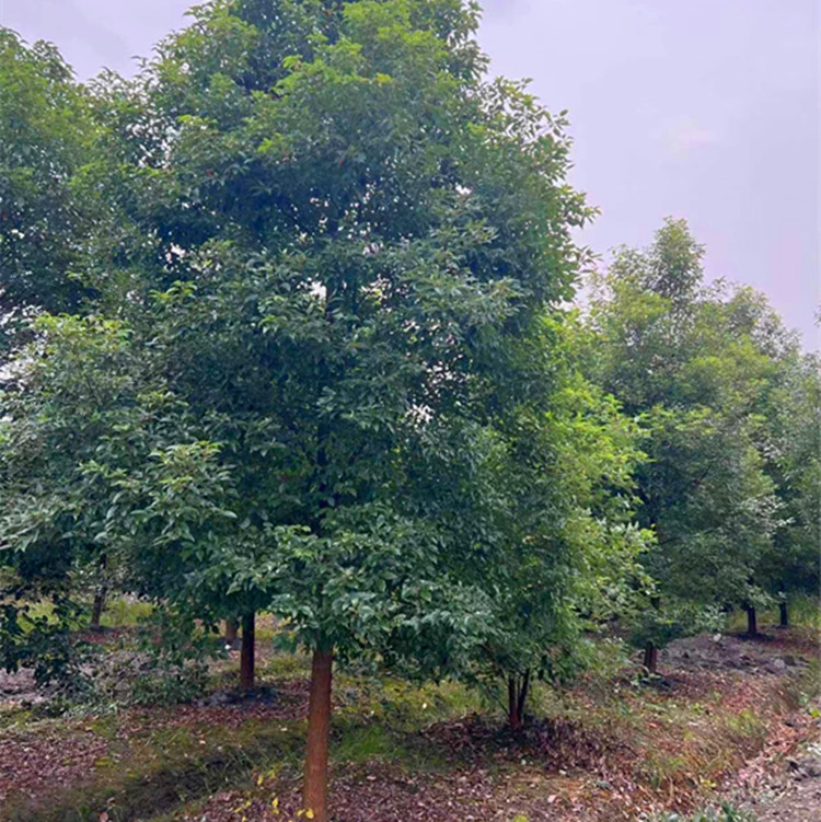 ΢��ͼƬ_20230406110647