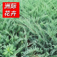 ���Ի������lɳ�ذ� 䁵ذع��̾G����   С���� ���G�ر��G�h