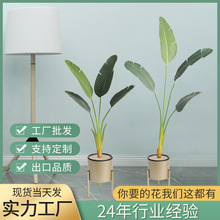 ���˽�����Gֲ�����L�͏d��ؾ��^������ֲ��[�����˽������l