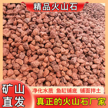 火山石园林造景水质过滤红色火山石黑色火山石植物铺面火山石颗粒