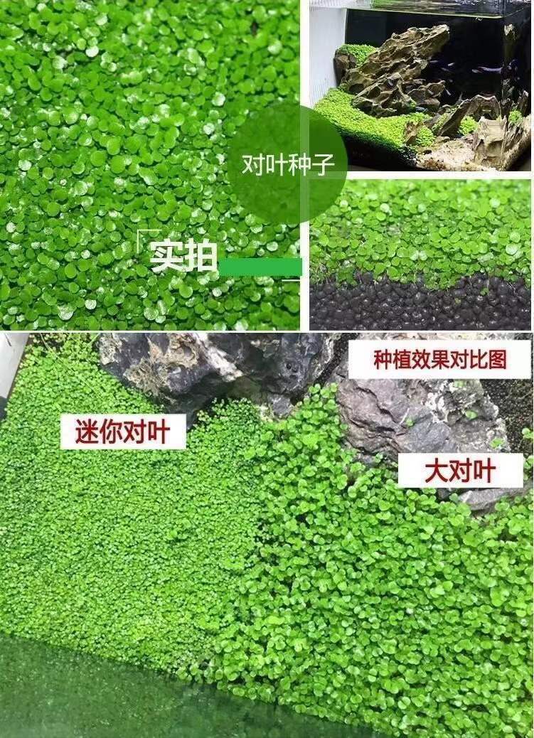 dec0f90e-ba2b-4e68-afdf-2b2ae1ccc098.jpe