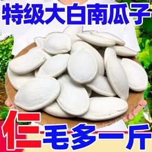 2024新货大颗粒南瓜子散装五香味大白片纸皮南瓜籽批发坚果零食