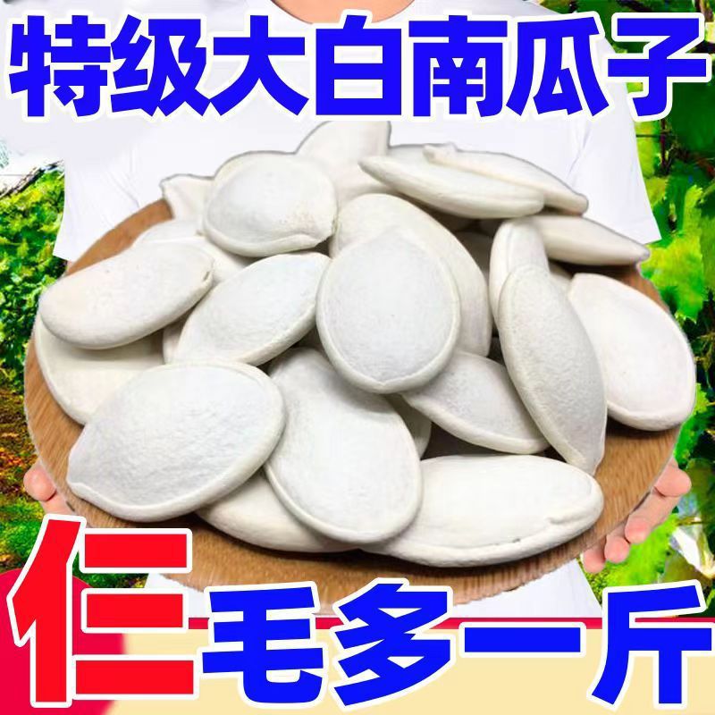 2024新货大颗粒南瓜子散装五香味大白片纸皮南瓜籽批发坚果零食