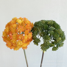 ܛ�z���й�����˻�����Gֲ�A���򻨼ҾӲ廨�b�ˇ�辰�쾰