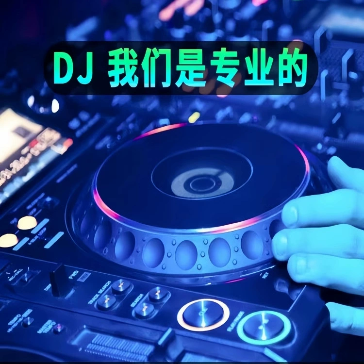 Car U disk songs 2025 new Douyin hot DJ Chinese lossless MP3 classic music U disk others