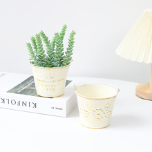 迷你复古铁艺提桶花盆田园多肉植物铁皮盆小水桶创意桌面摆件笔筒