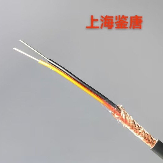 补偿导线热电偶仪表仪器用KX/KC/EX/NX-VV2*1.0电线电缆