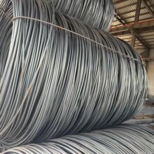 沈阳批发盘圆盘条6.5-12#  光圆钢筋建筑用圆钢Q235B、HPB300材