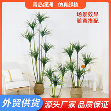 ������漚�U��Ѫ���ֲ����;Gֲ�҃�����ؔ[���������ľ�F��