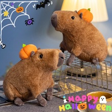 ��Ƥ������������ˮ����ż����ë�q�������Ů�����ȱ��탺ͯ�Y��