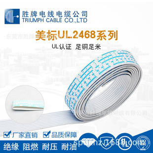 Valvoline Ul2468 American Standard Blue and White Printed 2P Cable Lde Light Cable Tinned Copper Manufacturer Supplies Red and Black Parallel Cable