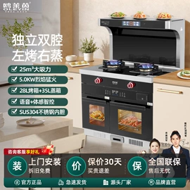 抽油烟机;燃气灶具;洗碗机