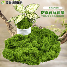 仿真苔藓草皮青苔石植物墙树皮永生人造草坪橱窗绿植墙墙高仿真