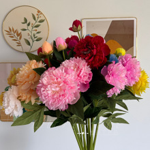 ����3�^��șĵ������������c��Y�ò��üҾ��bٻ������羳