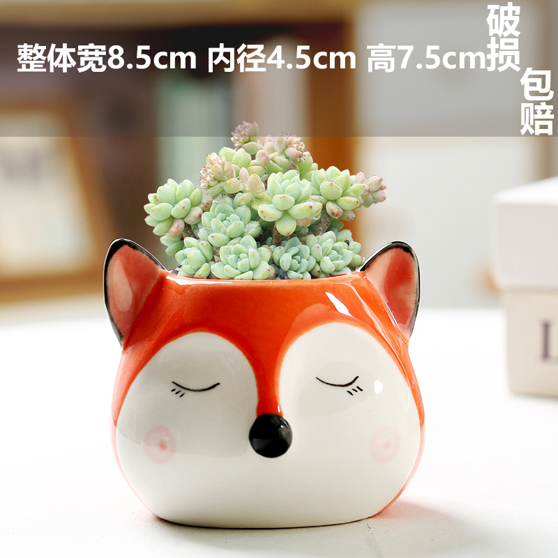 Macetas de cerámica para suculentas con diseño de animales de dibujos animados, pequeño tamaño, para estante de flores en casa, suministro al por mayor