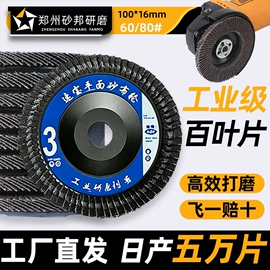 页轮、页片;磨片、切割片;抛光膏