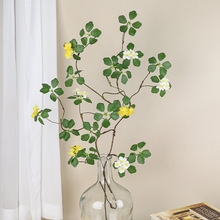 ����ʽ����ֲ���^��ɏ�~�ٗl�����U��廨�쾰��ľ�L���ٿ͏d�[��