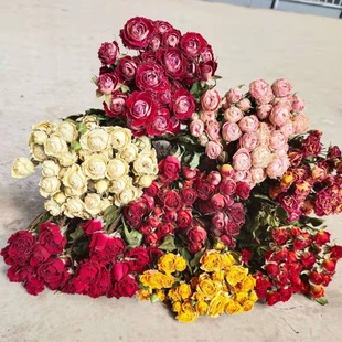 �����^Сõ��ɻ������^õ�� �Nޱ ����  õ��ɻ����l