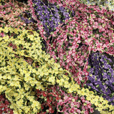 Spot Supply 2 см. Водные кружевные цвета DIY ручной работы экологически чистые аксессуары для головных уборов аксессуары кружев