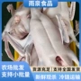 酒店专业冰冻实惠黑棕鹅