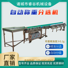 �߾����ھ��Q�ؙC��ˮ������ӑB�Q�؏͙z�Ӷ༉�������x�C�z�ؙC