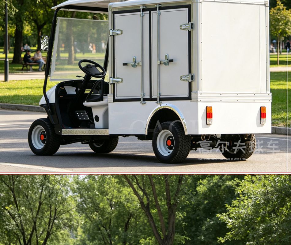 Electric Cargo Vans, Golf Carts, Factory Warehouses, Canteen Delivery Vehicles, Foreign Trade Export Golf Box Vehicles