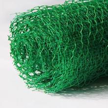 �ؑc���Sֲ���W�S�����l 3��NSS1.5���S�����W�|�ӵ��o��ֲ�ݾW��